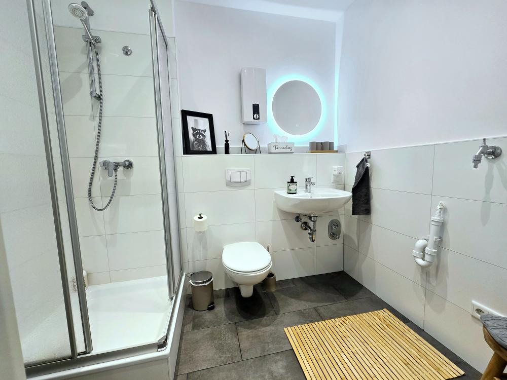 Badezimmer mit Dusche, Waschbecken und Spiegel in der Ferienwohnung in Winterberg.